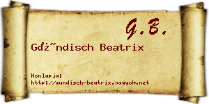 Gündisch Beatrix névjegykártya